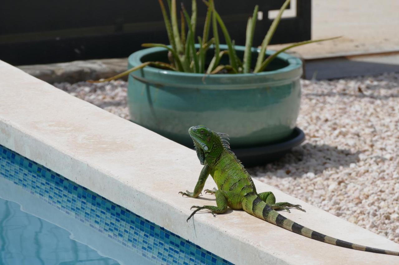 Villa De Mango Fontein Dış mekan fotoğraf