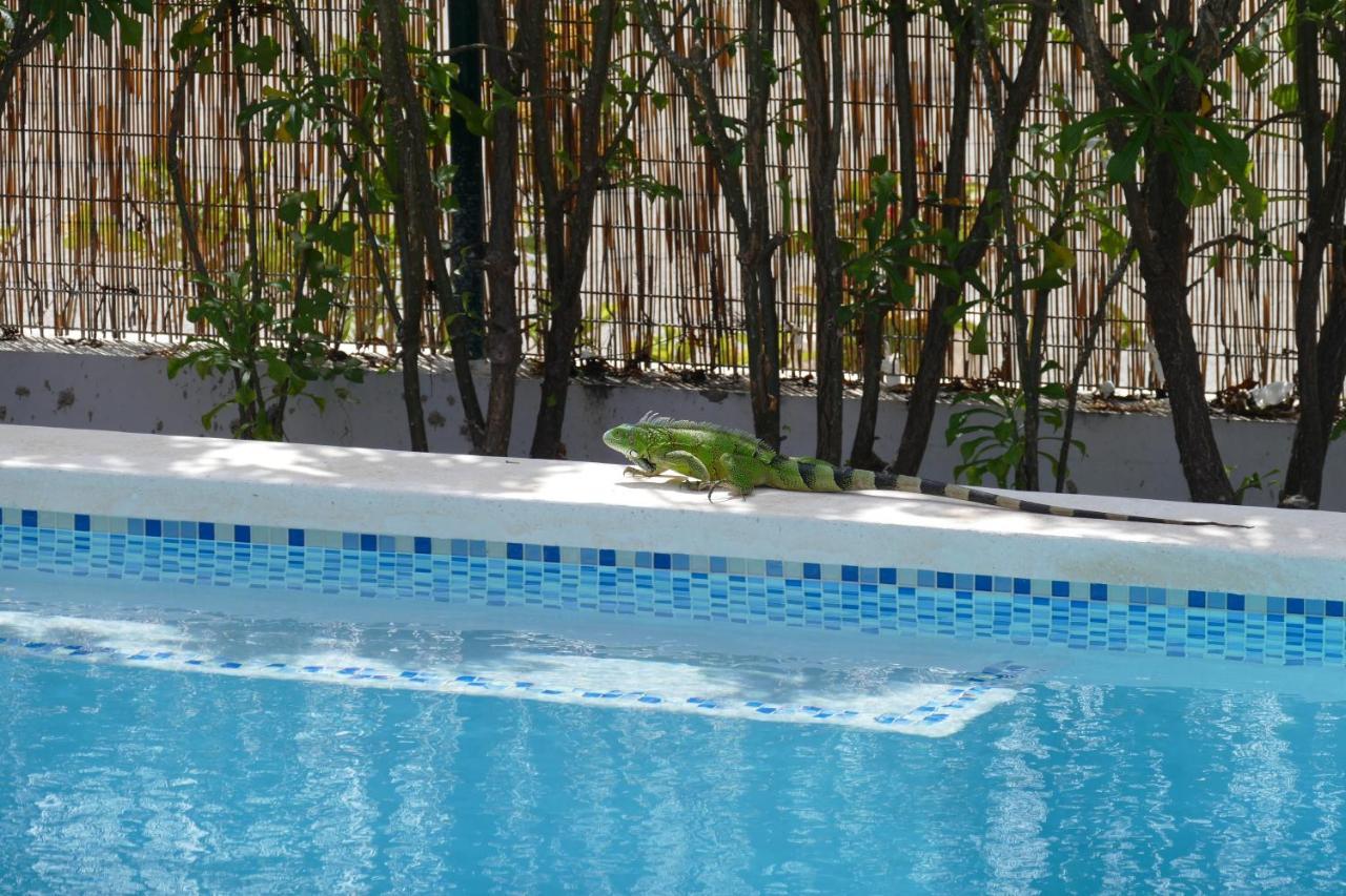 Villa De Mango Fontein Dış mekan fotoğraf