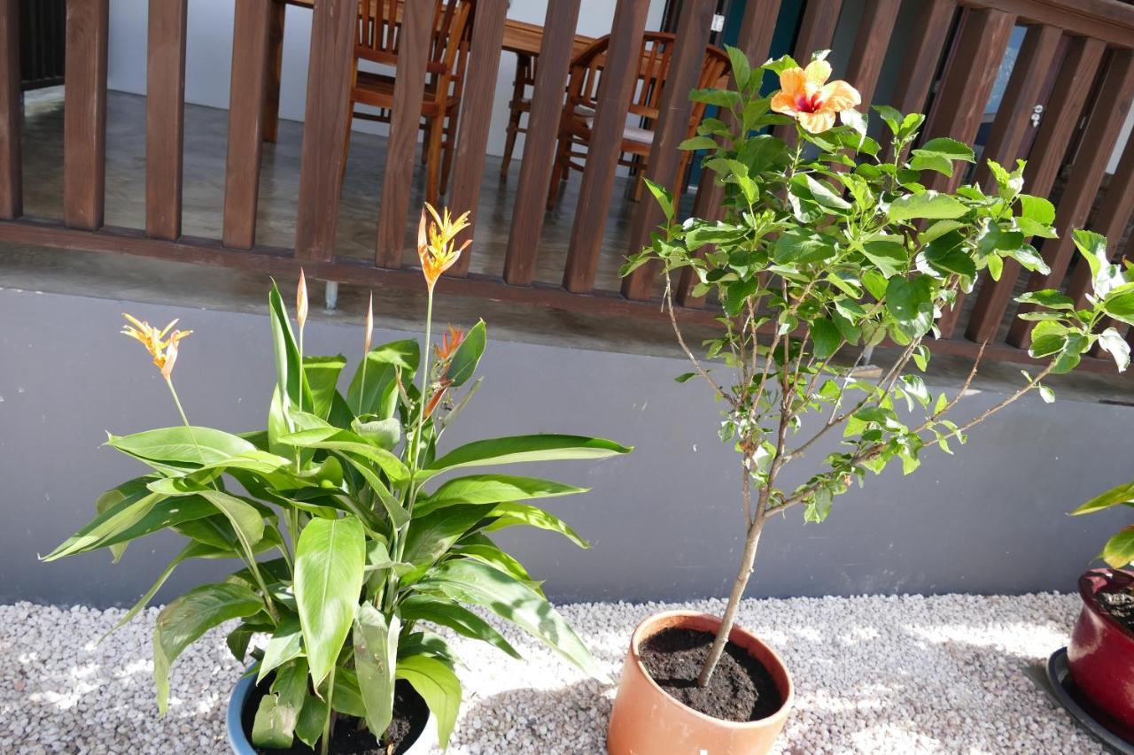 Villa De Mango Fontein Dış mekan fotoğraf