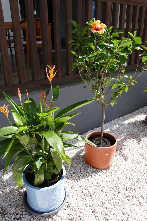 Villa De Mango Fontein Dış mekan fotoğraf